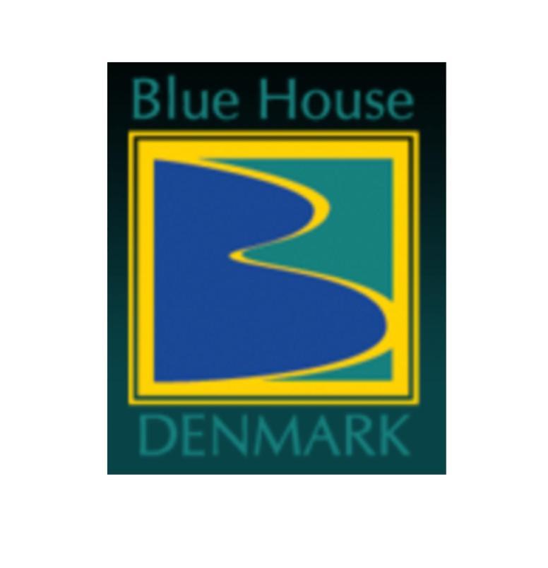 Villa Blue House Denmark Extérieur photo